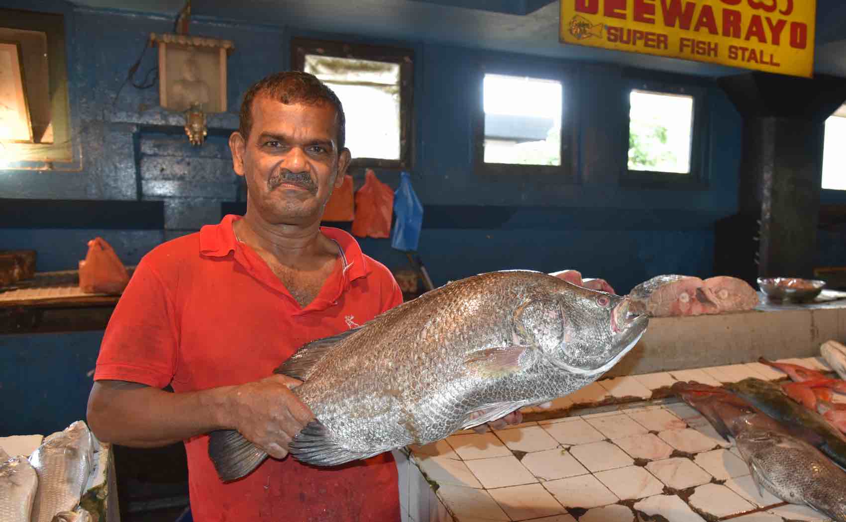 Hovedstaden Colombo har flere mindre fiskemarkeder dit folk kommer for dagens fangst