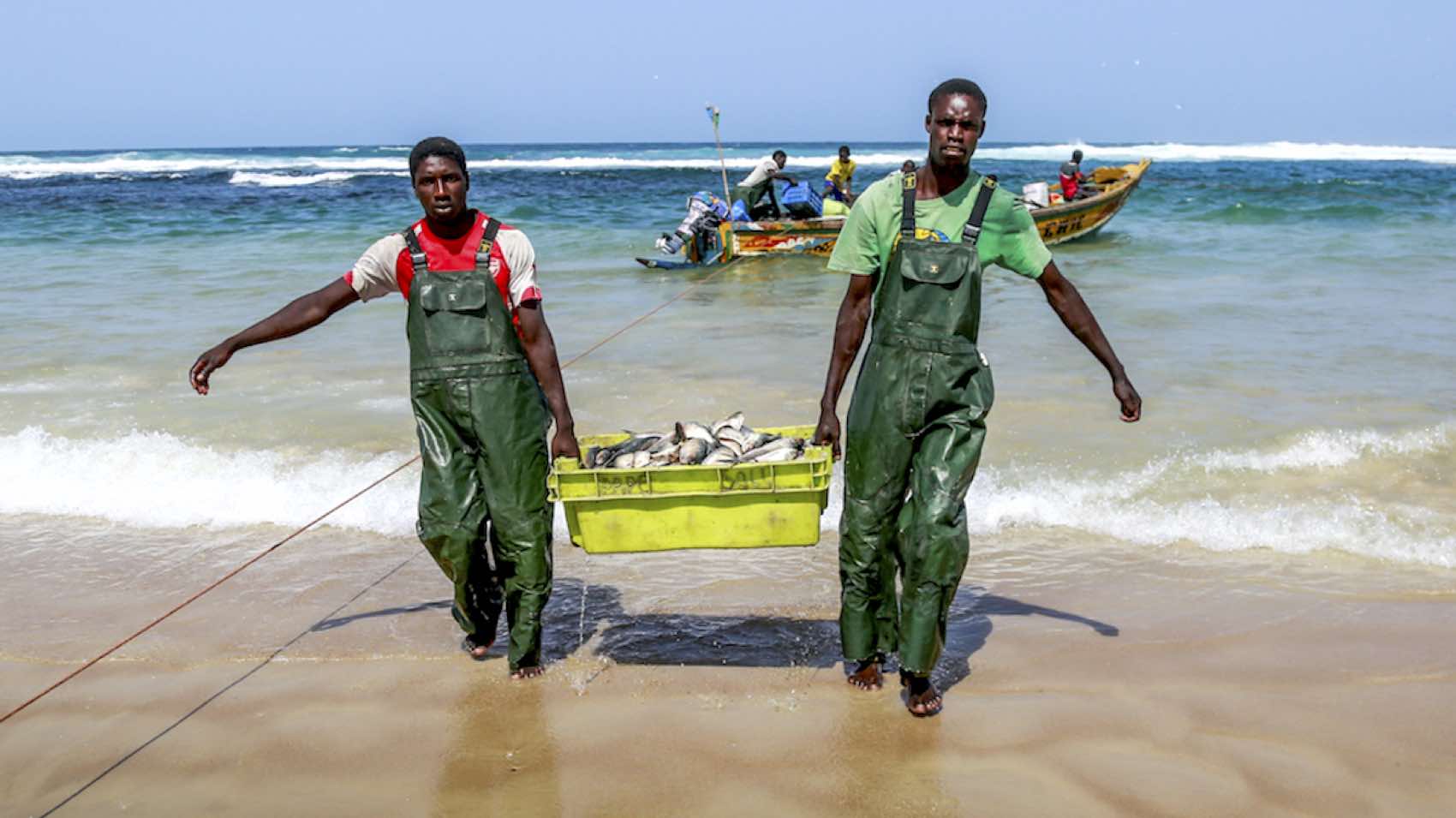 Sjømat er en viktig del av mat-tilbudet i Senegal. Her kommer dagens fangst
